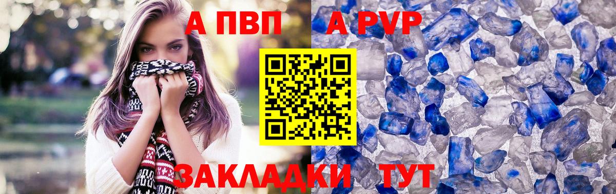 Альфа ПВП СК КРИС Губкин