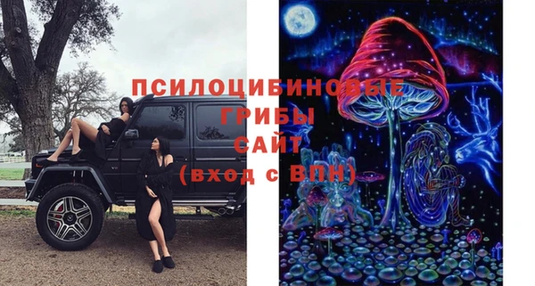 твердый Волоколамск