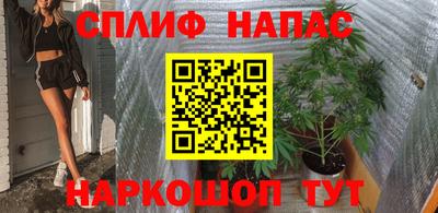 прущие грибы Волжск