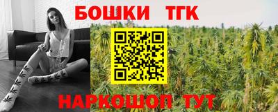 тгк Бийск