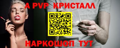 тгк Бийск