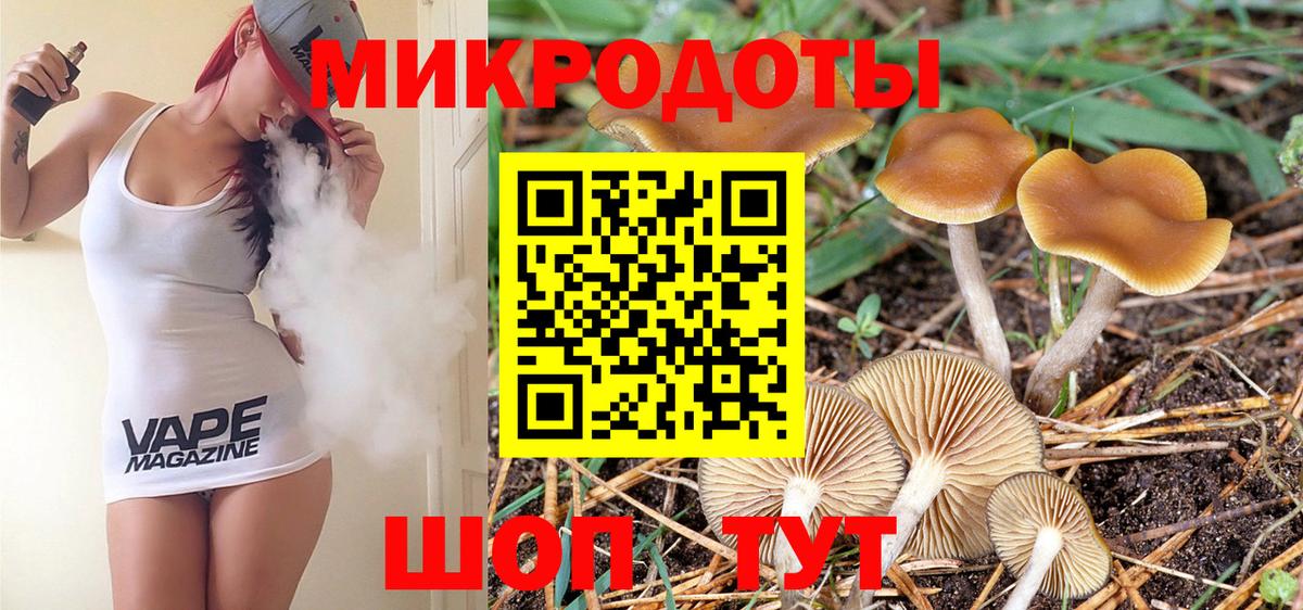 Псилоцибиновые грибы GOLDEN TEACHER  Галлюциногенные грибы прущие грибы  магазин продажи наркотиков  Губкин  Вход с VPN 