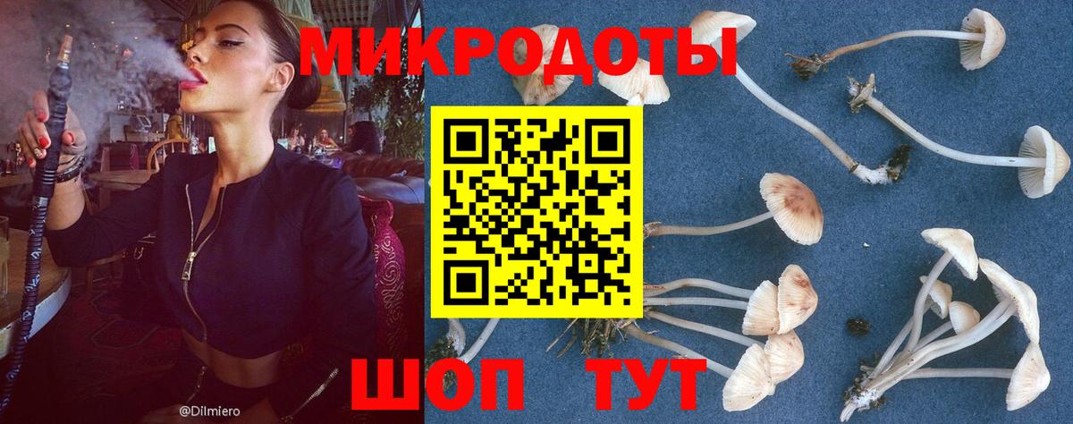 Галлюциногенные грибы GOLDEN TEACHER Губкин