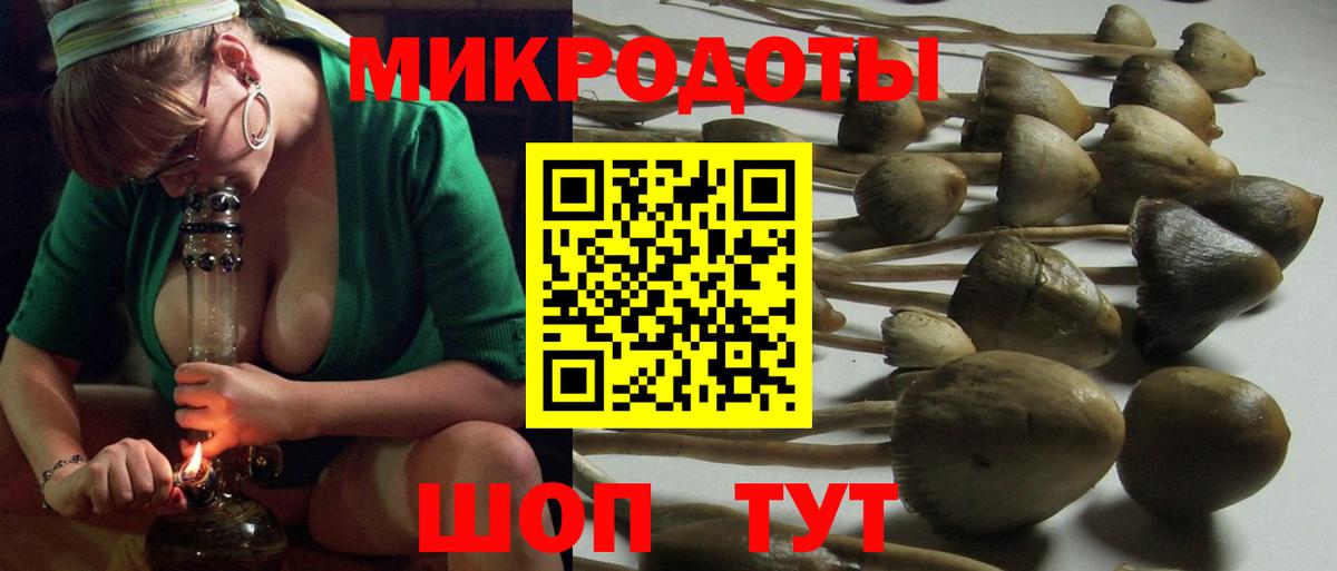 Псилоцибиновые грибы MAGIC MUSHROOMS  Губкин 